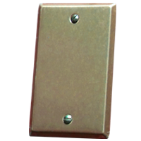 Placa ciega aluminio t/Quinziño Romy