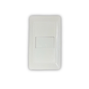 Placa ciega blanca L-118 León